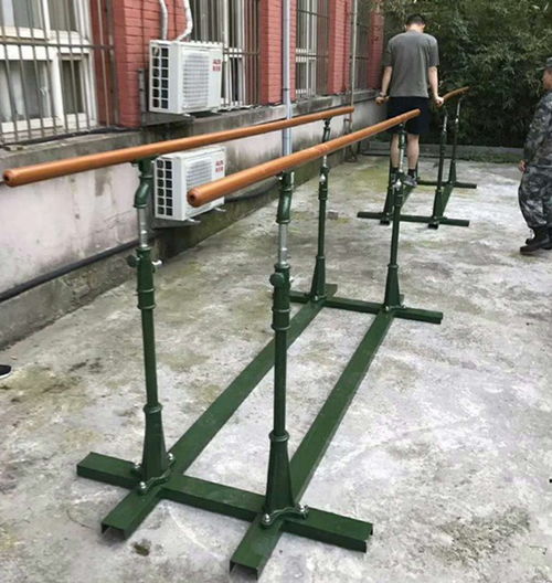 雙杠訓練方法與市場行情淺析